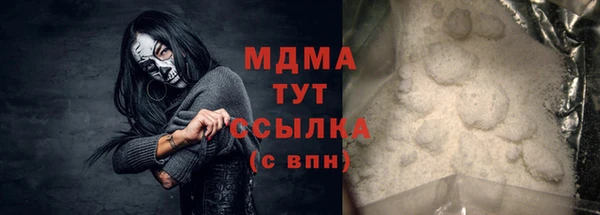 молекула духа Богданович