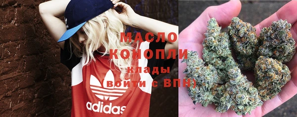 ECSTASY Медногорск