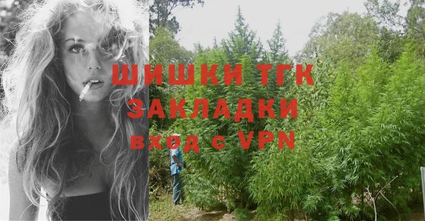 дживик Мегион