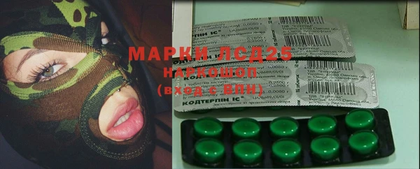 дживик Мегион