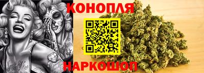 ешки Бийск