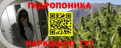 Альфа ПВП Берёзовский