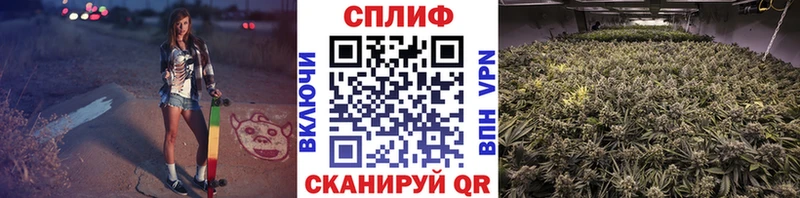 закладки  Нижнеудинск  Конопля тримм 